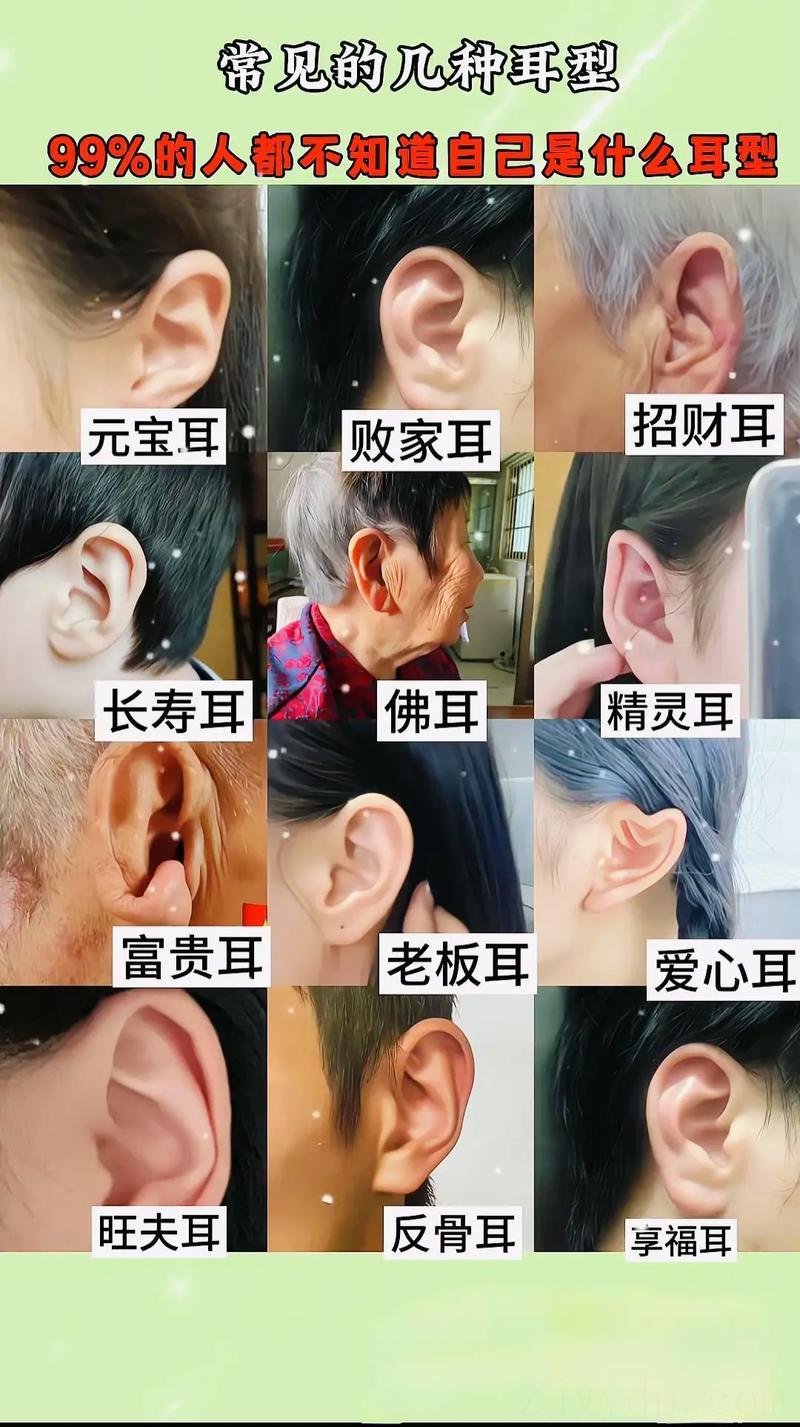 小耳朵富贵命的人,面相看什么样的耳朵富贵