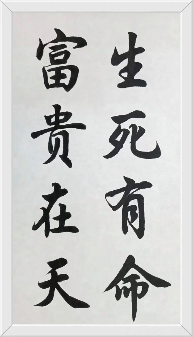 富贵在于天生死在于命错还是对,生死有命富贵在天什么意思